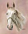 Grey Horse