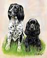 Spaniels