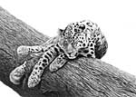 Sleepy Leopard - artwork by Giles Illsley